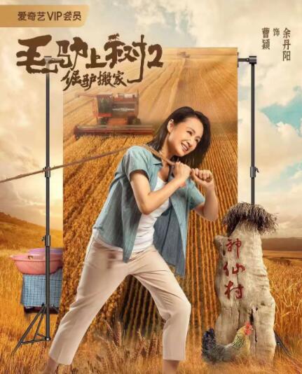 中国免费毛片